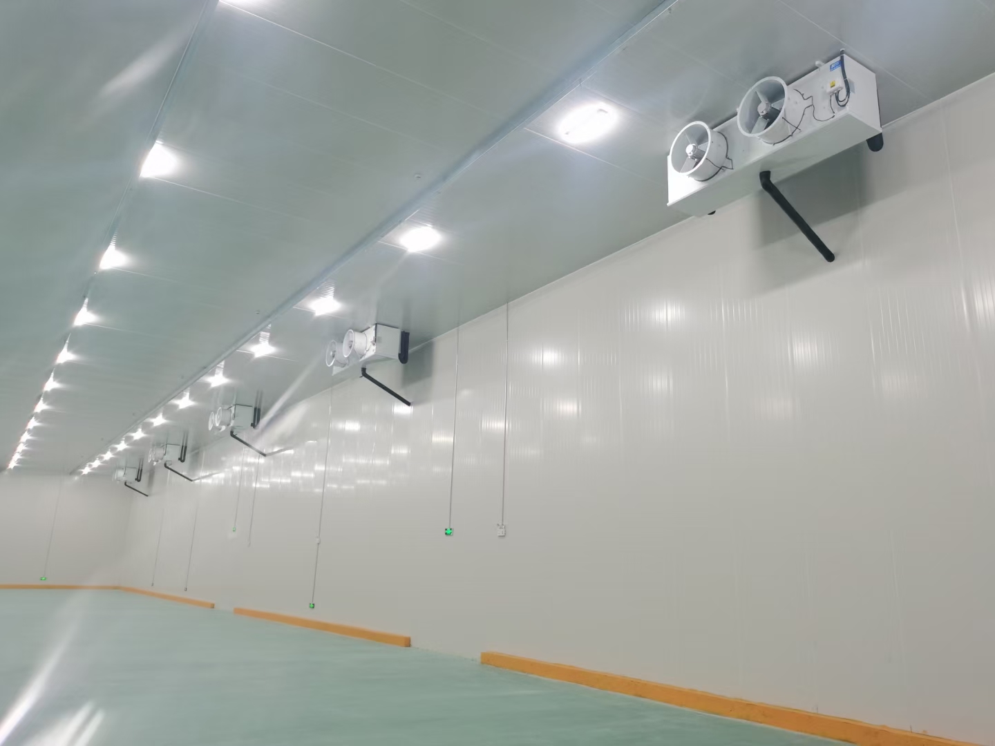 -15℃低溫食品冷凍庫造價(jià)多少錢一立方? -15℃低溫食品冷凍庫造價(jià)多少錢一立方?