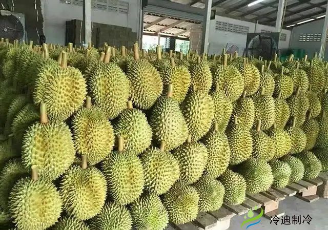 如圖所示榴蓮冷庫(kù).web.jpg 如圖所示榴蓮冷庫(kù).web.jpg