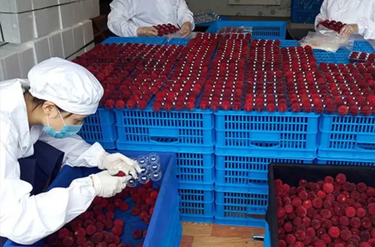 楊梅冷庫(kù)造價(jià)(圖1)