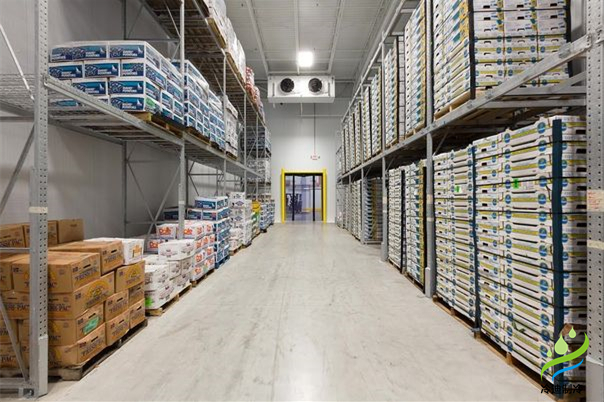 建一個冷庫到底要花多少錢？