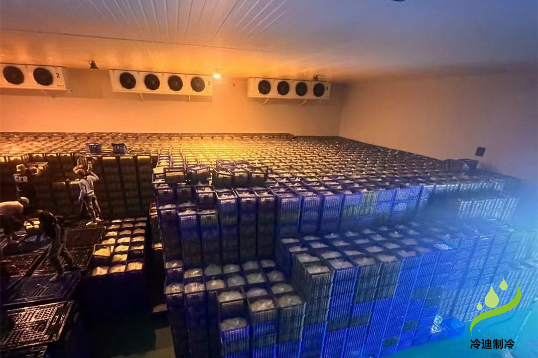 1000立方冷庫可以存多少噸？用多大制冷設(shè)備？