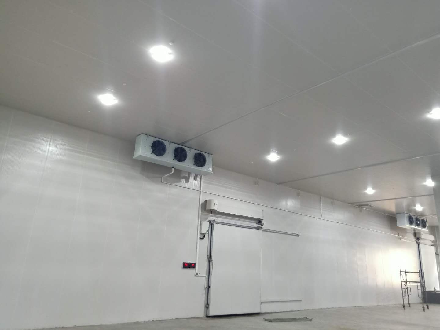 黃瓜冷庫如何儲存，建造300平多少錢？(圖1)